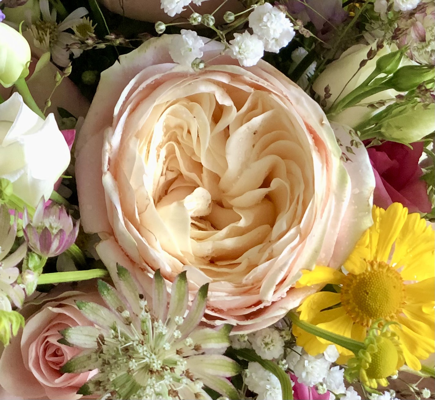 Judiths Bloemenwerk