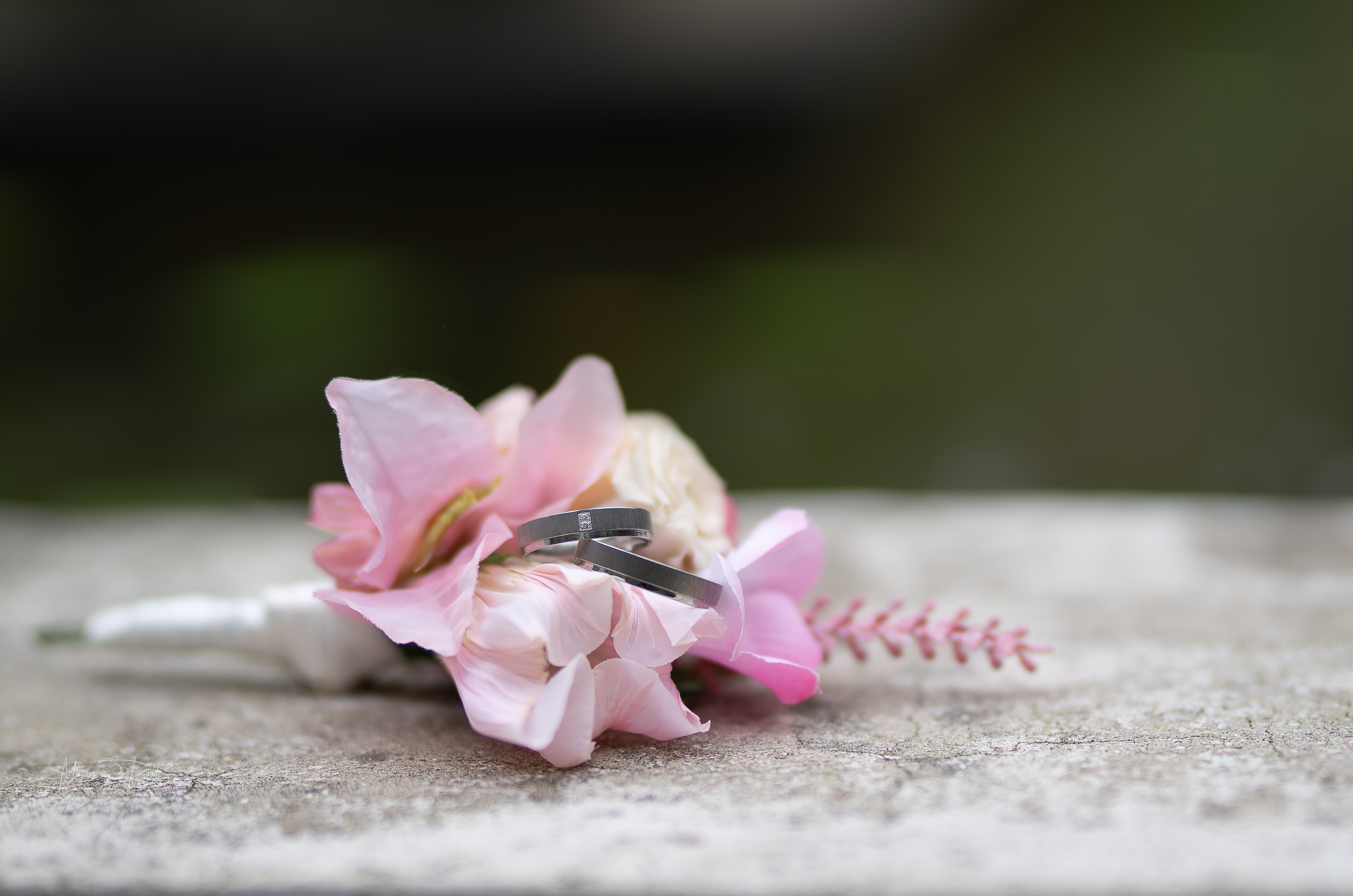 Mirjam Rood Fotografie